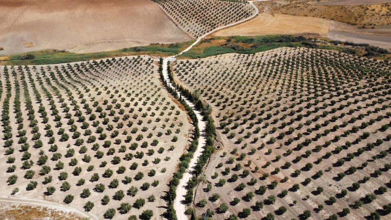 Cortijo Donana Βίλα La Puebla de Cazalla Εξωτερικό φωτογραφία