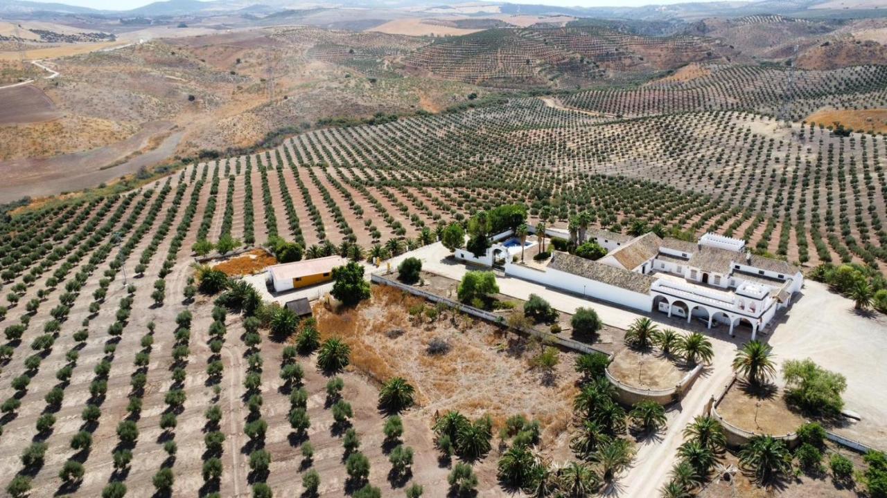 Cortijo Donana Βίλα La Puebla de Cazalla Εξωτερικό φωτογραφία